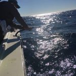 FB_IMG_1579322210452