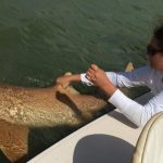 FB_IMG_1579322280370